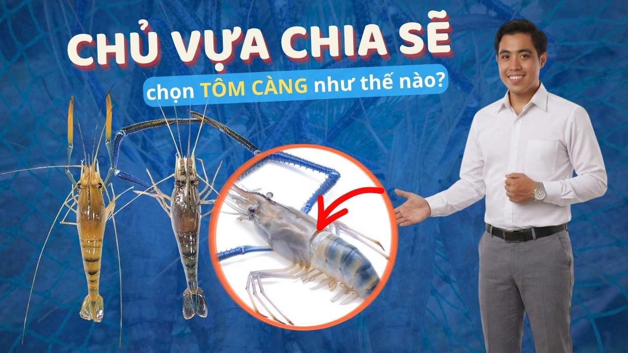 nhìn đầu tôm càng biết ngon hay dỡ